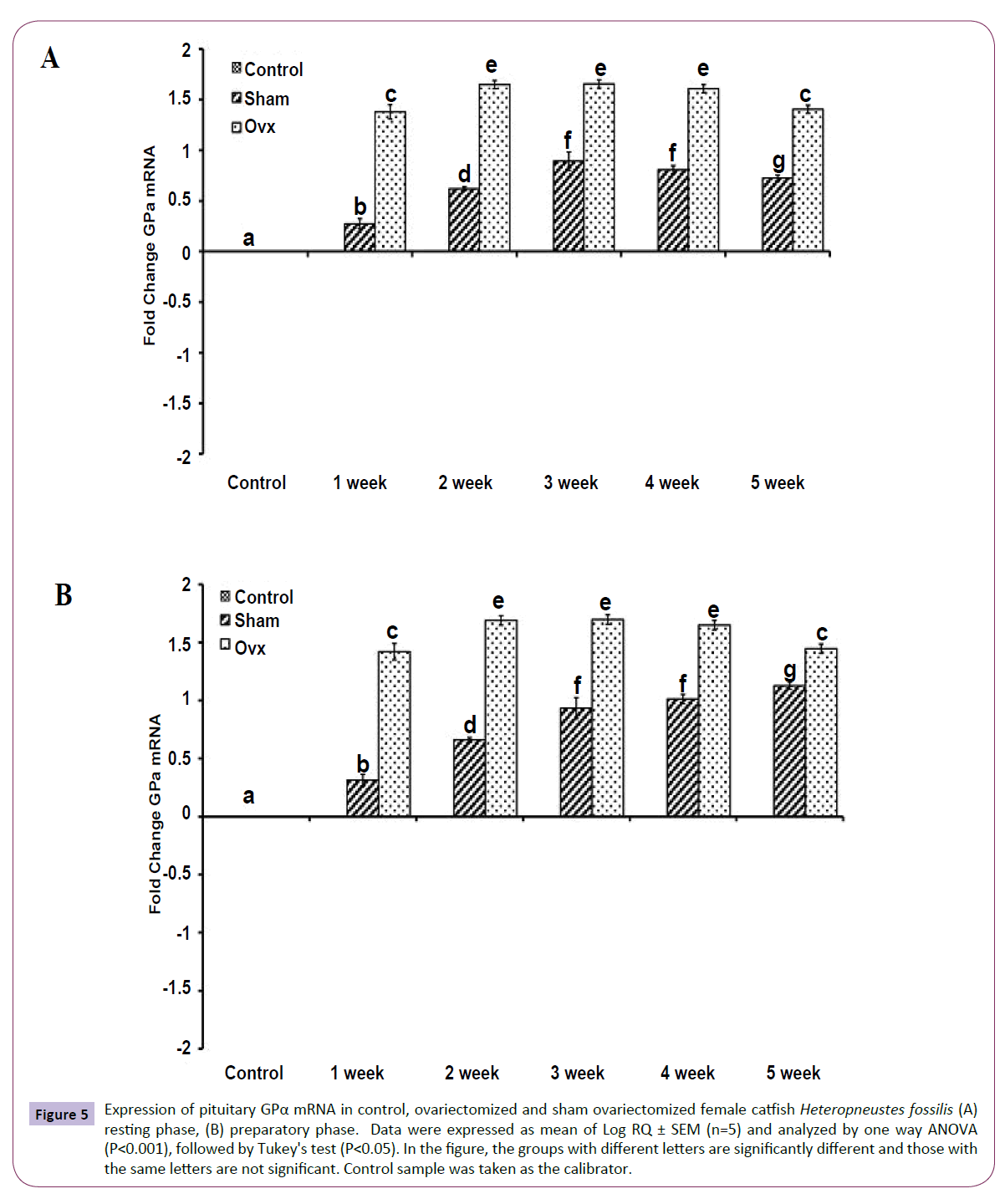 translational-neuroscience-Expression-pituitary