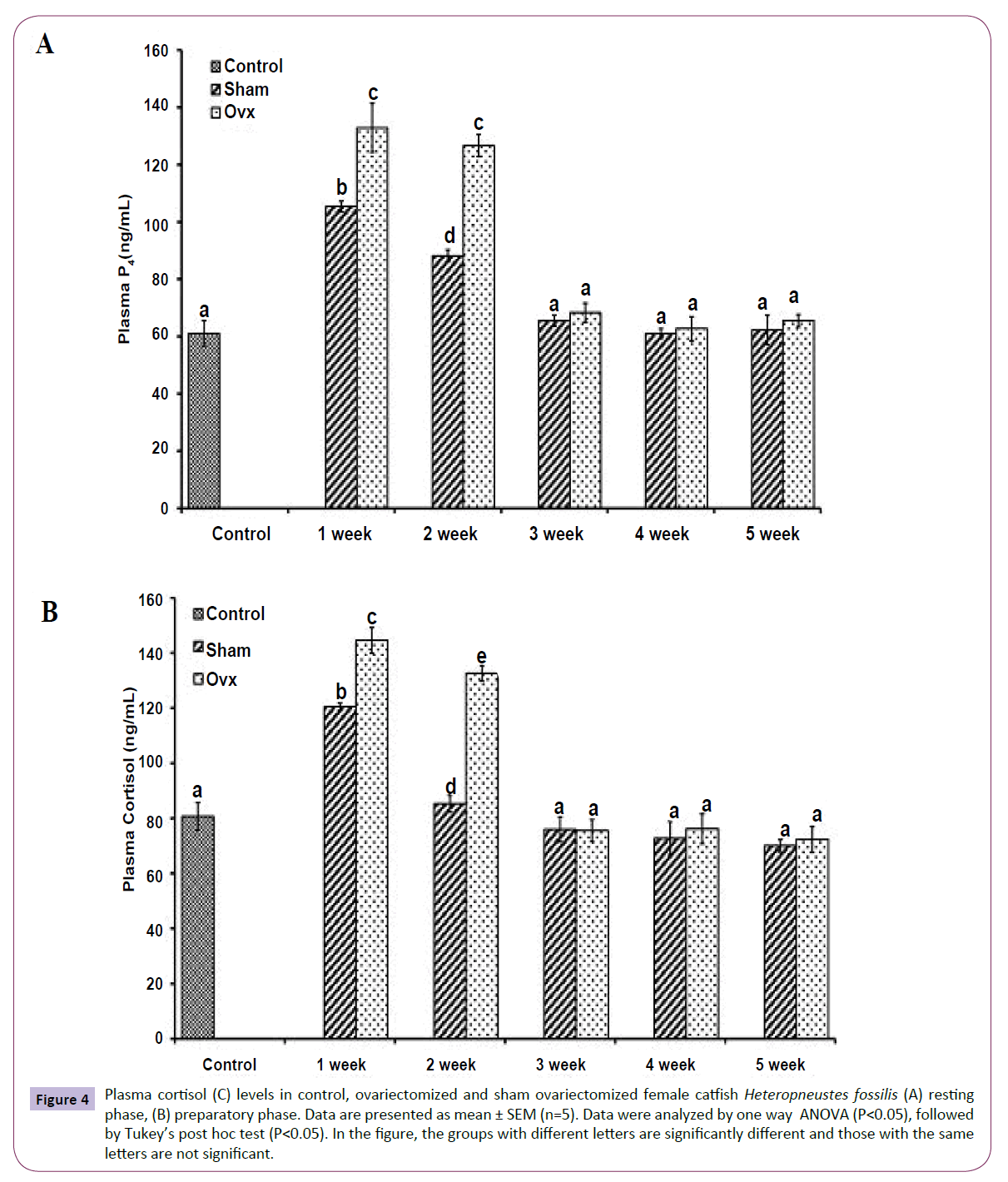 translational-neuroscience-Plasma-cortisol-levels-control