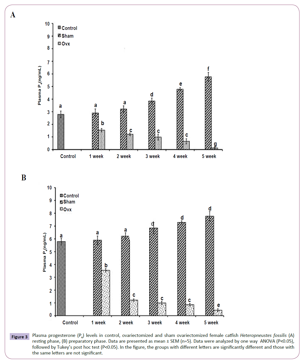 translational-neuroscience-Plasma-progesterone-levels-control