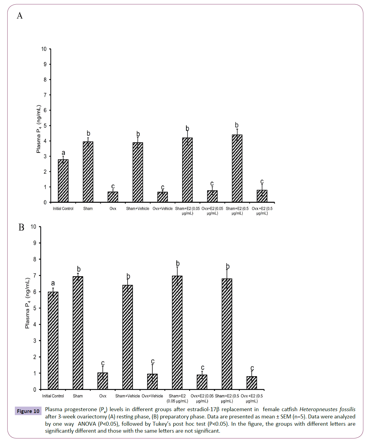 translational-neuroscience-Plasma-progesterone-levels-different-groups