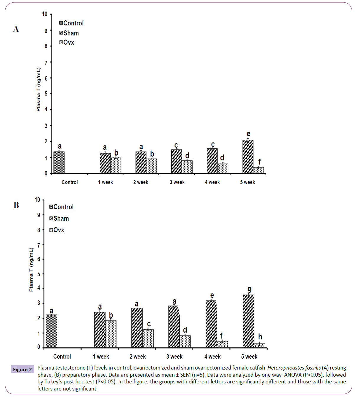 translational-neuroscience-Plasma-testosterone-levels-control