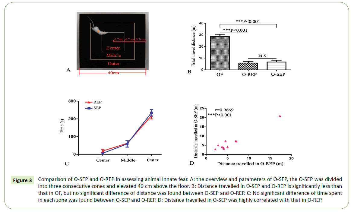 translational-neuroscience-assessing-animal