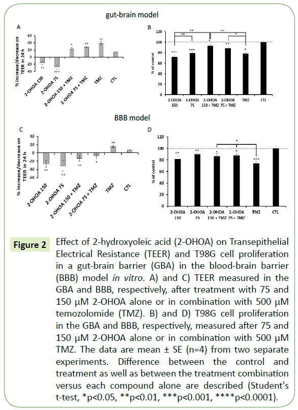 translational-neuroscience-cell-proliferation