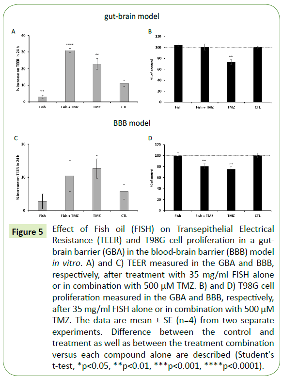 translational-neuroscience-cell-proliferation