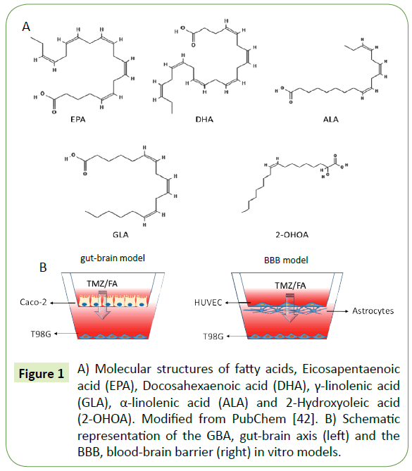 translational-neuroscience-fatty-acids