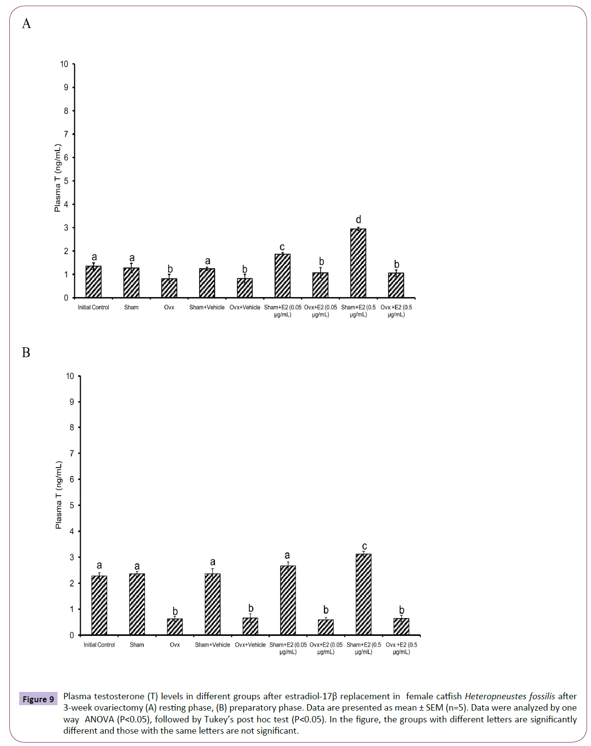 translational-neuroscience-female-catfish-Heteropneustes