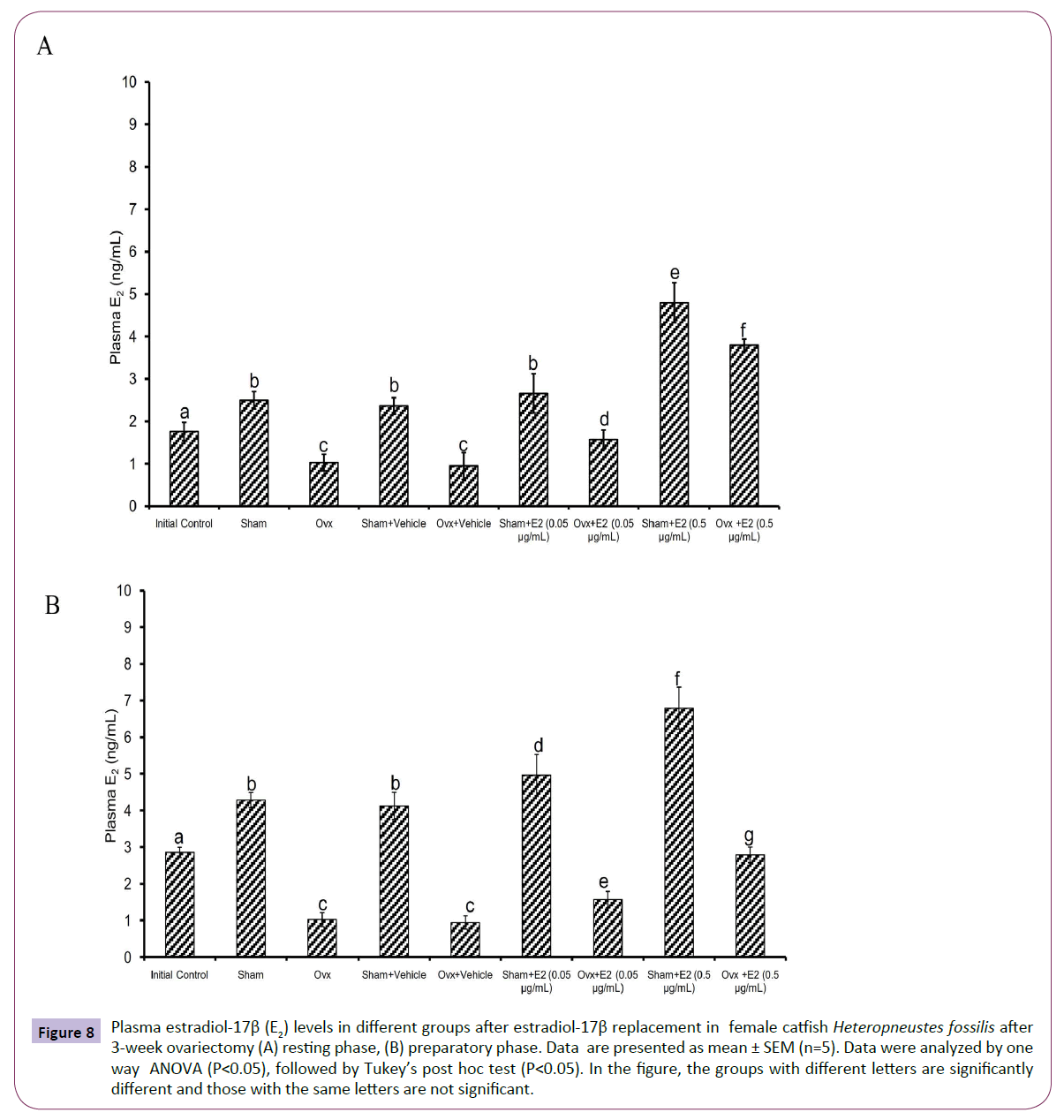 translational-neuroscience-levels-different-groups