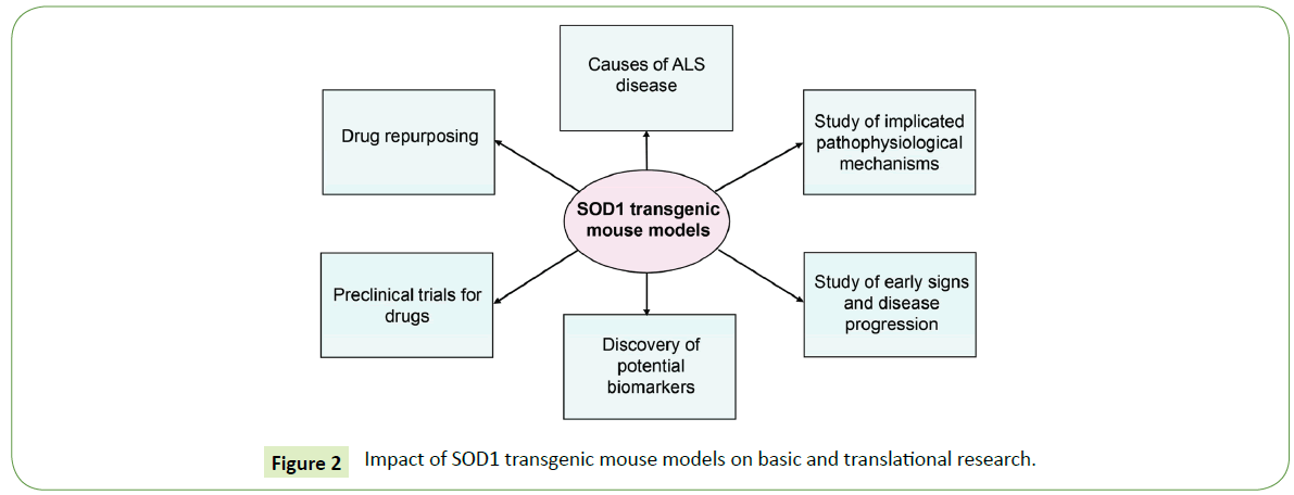 translational-neuroscience-mouse-models