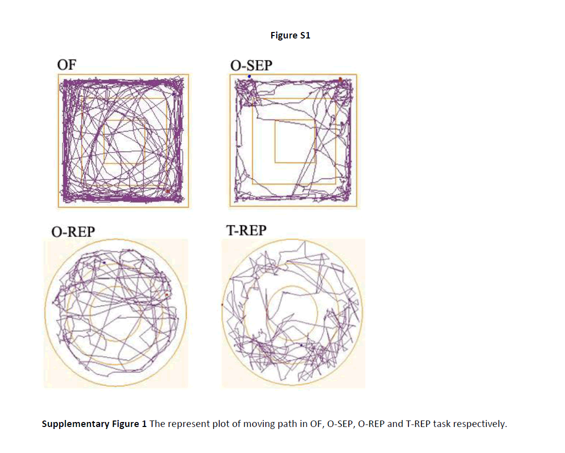 translational-neuroscience-moving-path