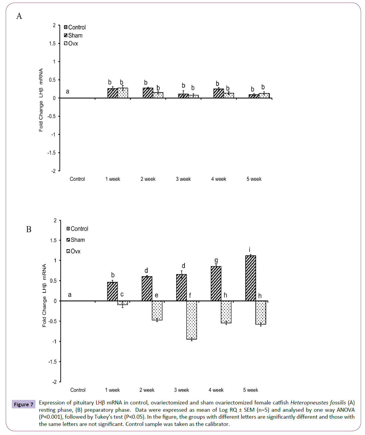 translational-neuroscience-ovariectomized-sham-ovariectomized