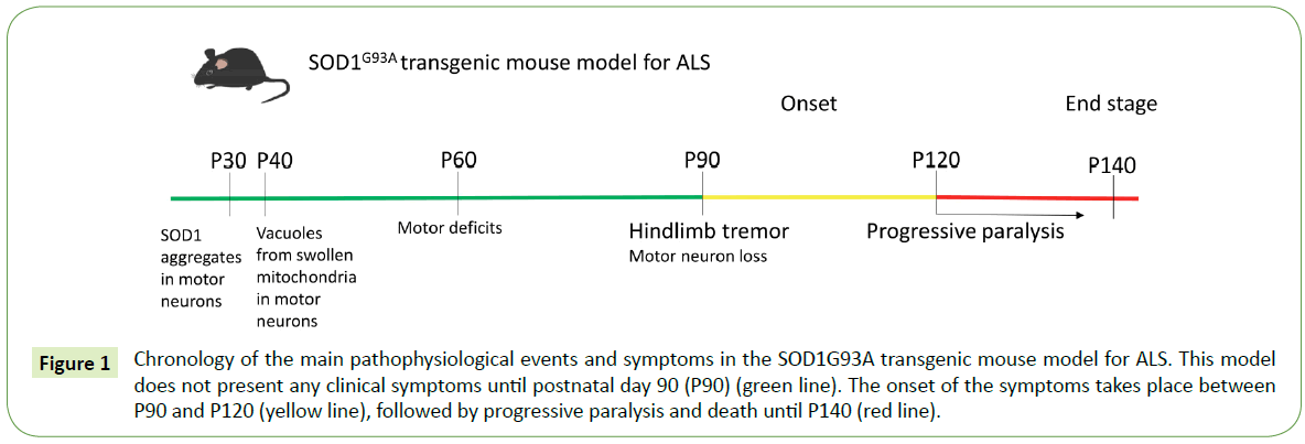 translational-neuroscience-pathophysiological-events