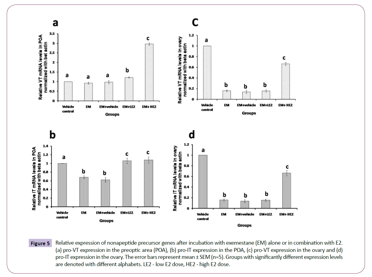 translational-neuroscience-precursor-genes