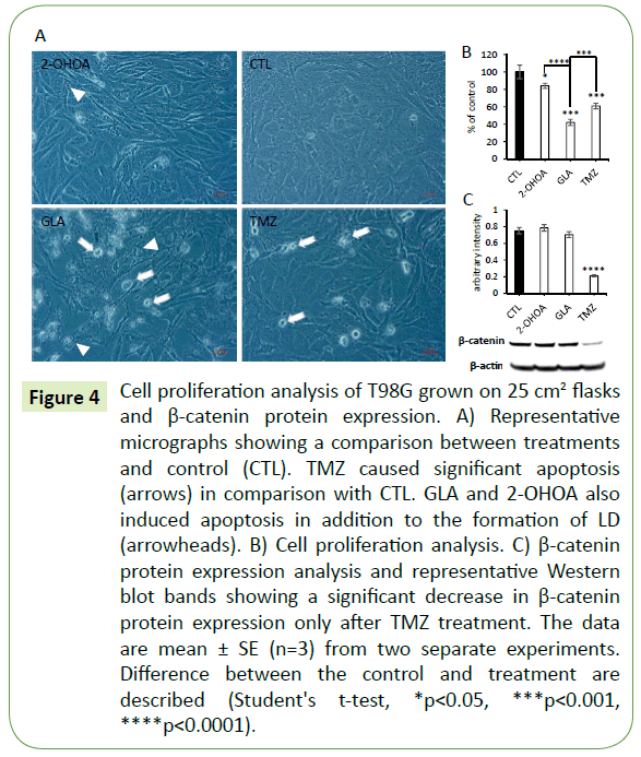 translational-neuroscience-protein-expression